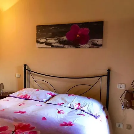 La Rosa Penzion *